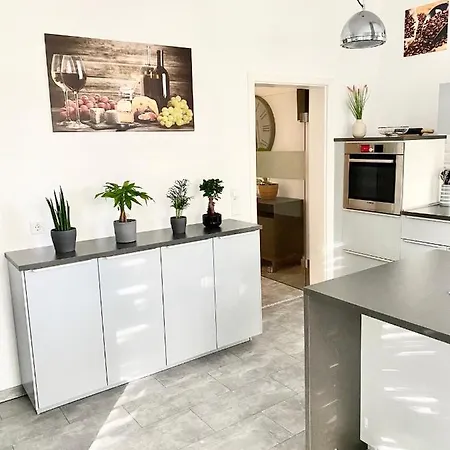 Rosentor Zentrum 180qm & 300qm Apartment *